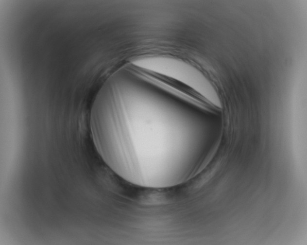 X0000113320325200909281212