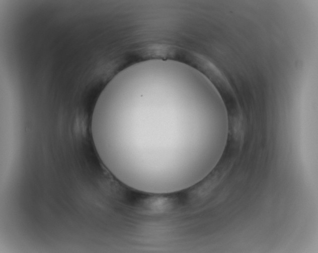 X0000113320326200909281212