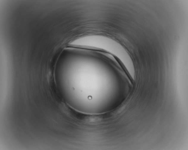 X0000113320327200909281212