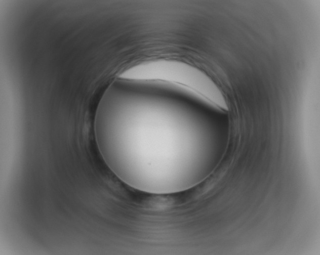 X0000113320328200909281212