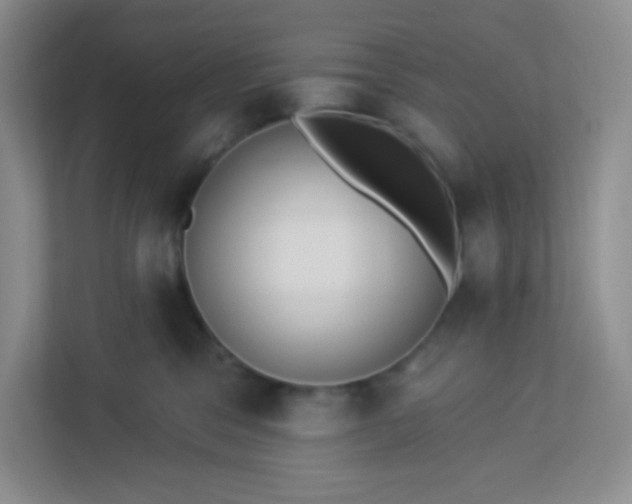 X0000113320329200909281212