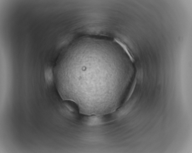 X0000113320335200909281212