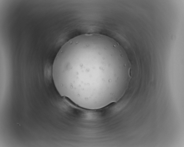 X0000113320336200909281212