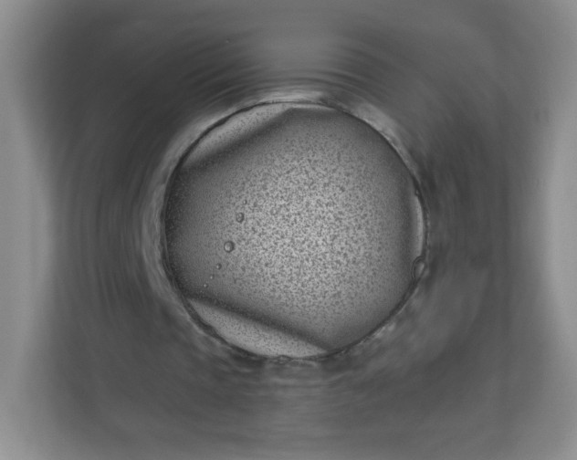 X0000113320337200909281212