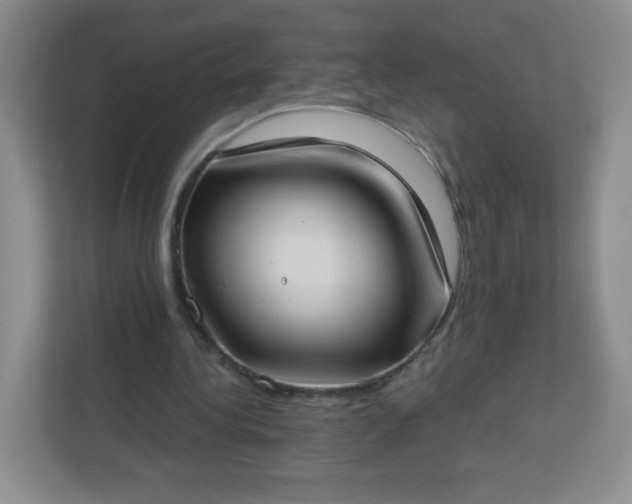 X0000113320340200909281212