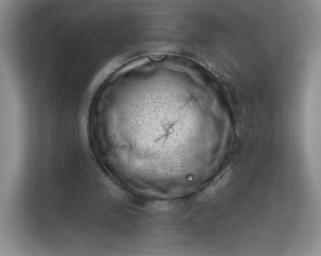 X0000113320341200909281212