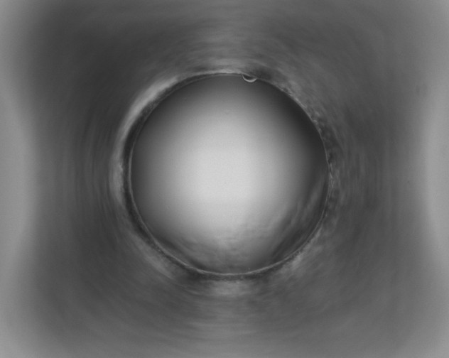 X0000113320342200909281212