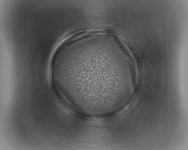 X0000113320343200909281212