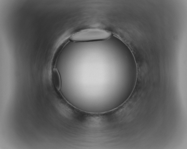 X0000113320344200909281212