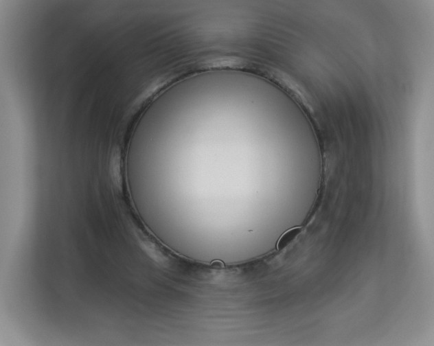 X0000113320345200909281212