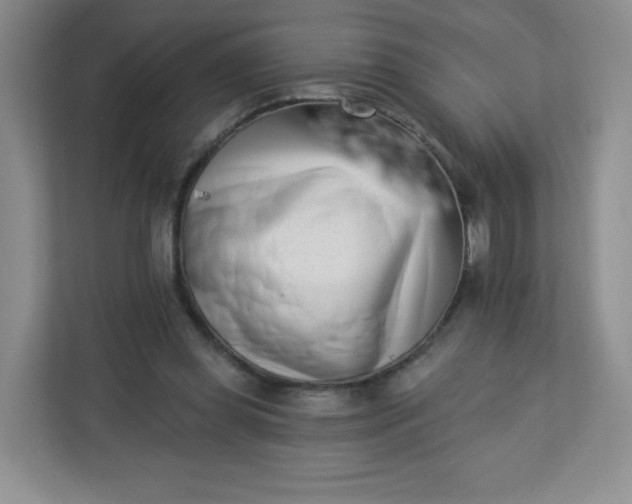 X0000113320349200909281212