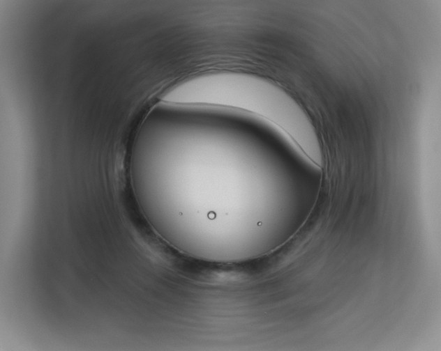 X0000113320360200909281212