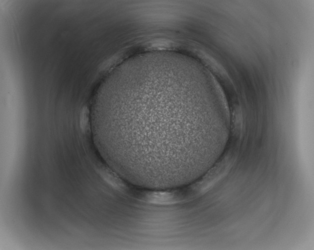 X0000113320361200909281212