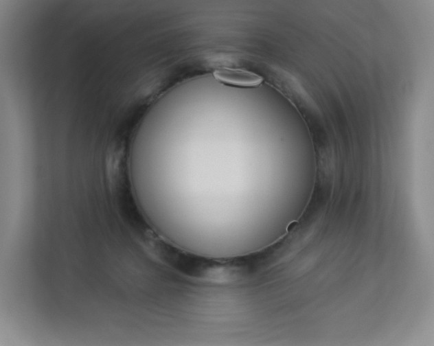 X0000113320364200909281212