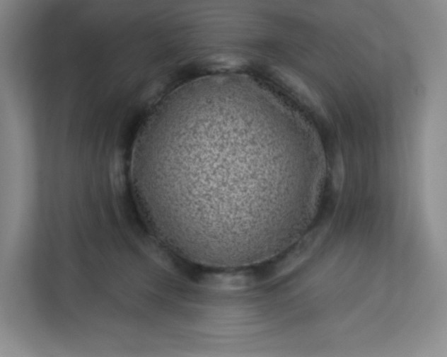 X0000113320366200909281212