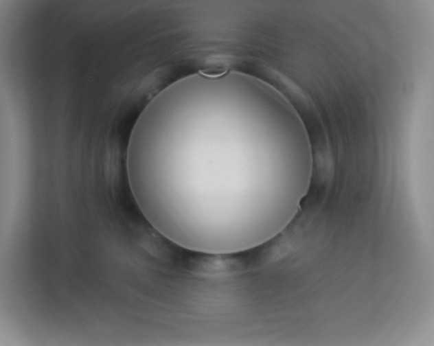 X0000113320379200909281212