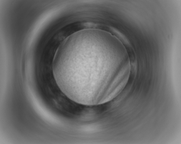 X0000113320381200909281212