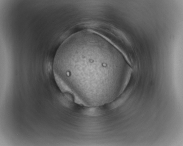 X0000113320382200909281212