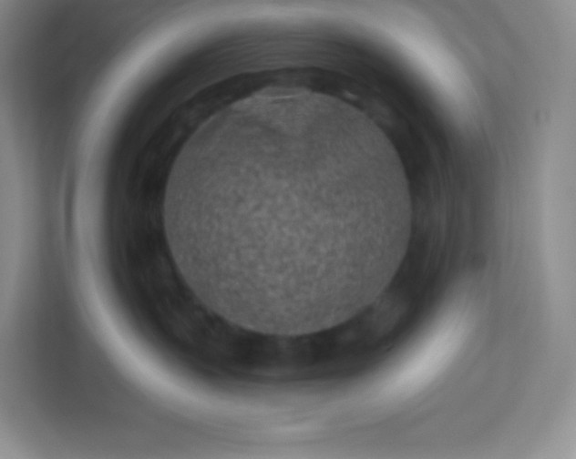 X0000113320383200909281212