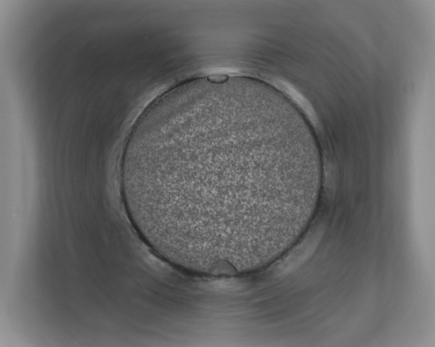 X0000113320385200909281212