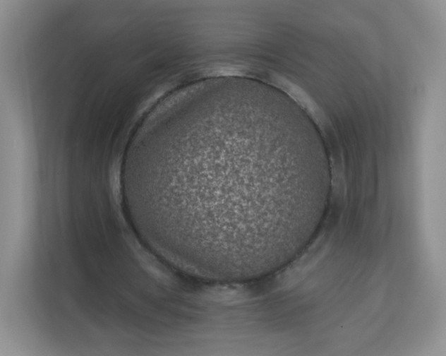 X0000113320386200909281212