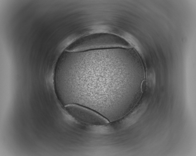 X0000113320389200909281212