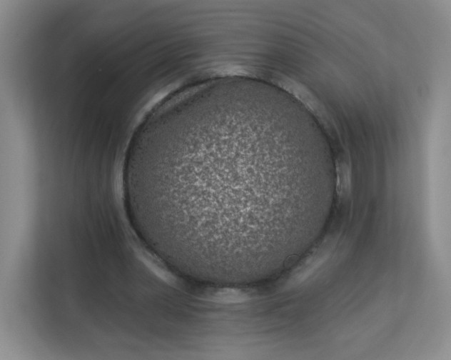 X0000113320390200909281212