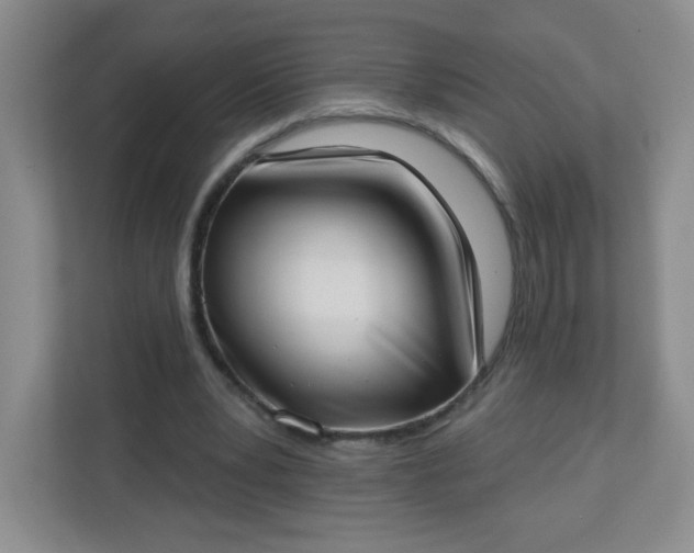 X0000113320391200909281212