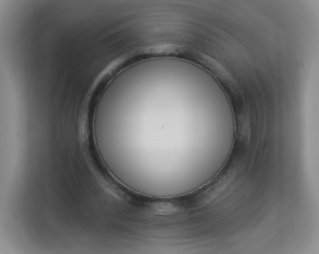 X0000113320392200909281212