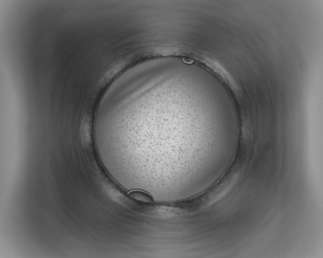 X0000113320393200909281212