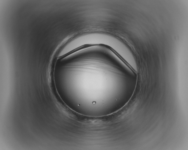 X0000113320395200909281212