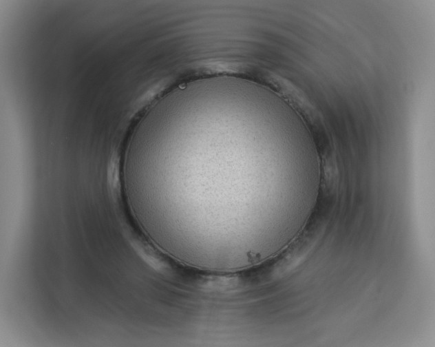 X0000113320398200909281212