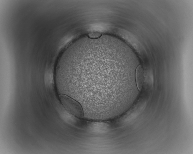 X0000113320399200909281212