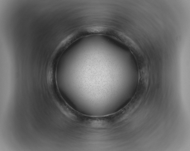 X0000113320400200909281212