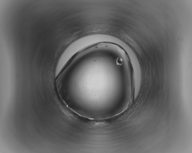 X0000113320401200909281211