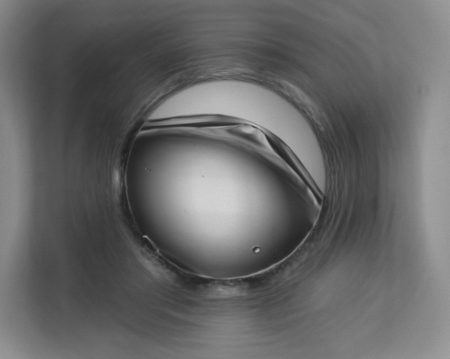 X0000113320405200909281211