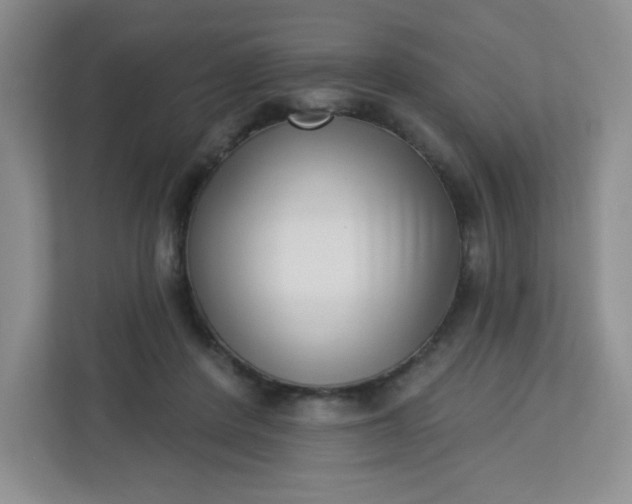 X0000113320408200909281211