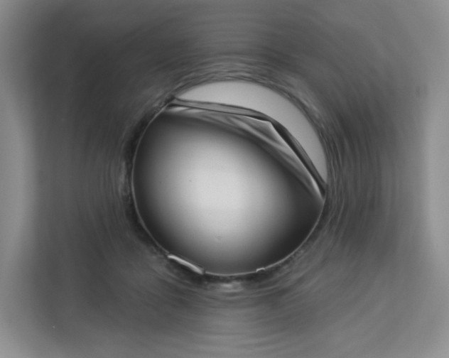 X0000113320411200909281211