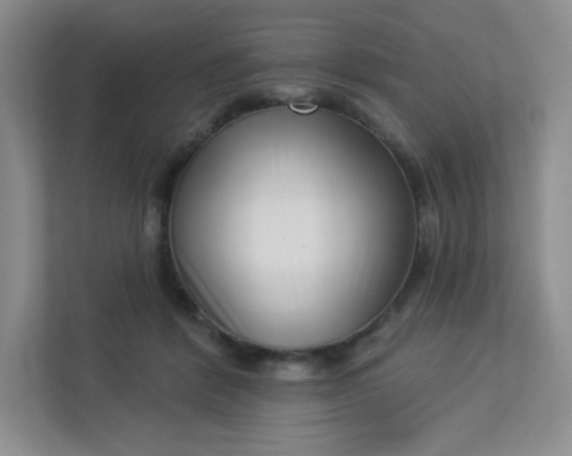 X0000113320412200909281211