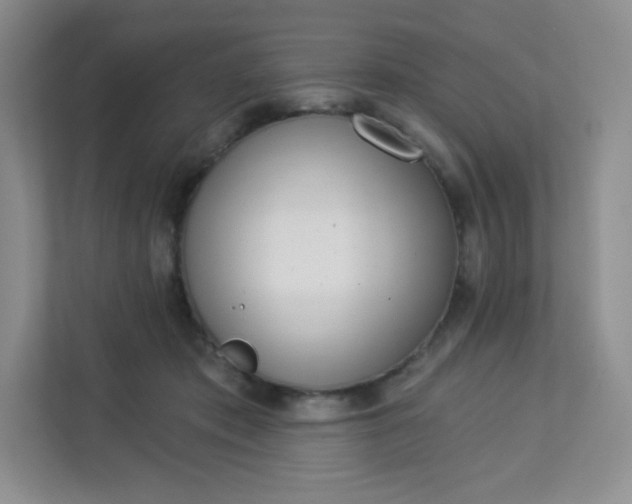 X0000113320413200909281211