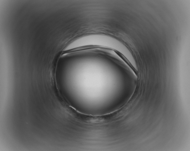 X0000113320415200909281211