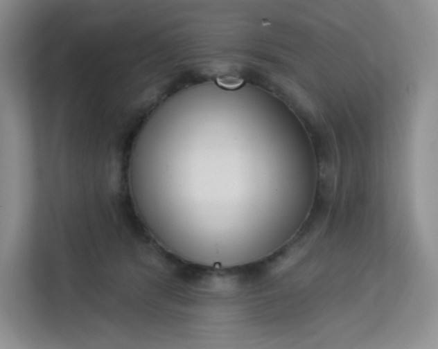 X0000113320416200909281211