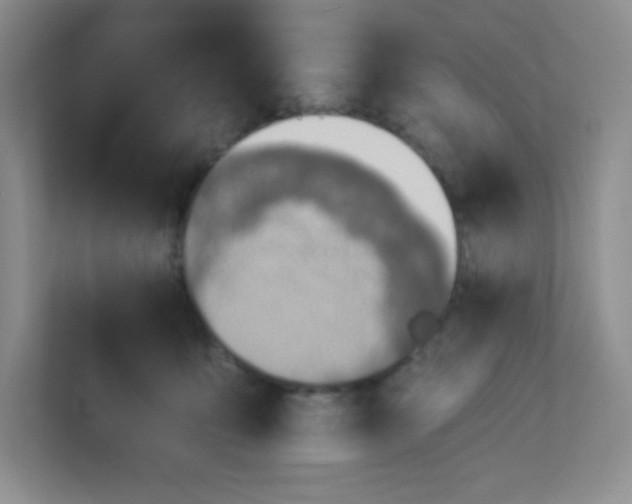 X0000113320419200909281211