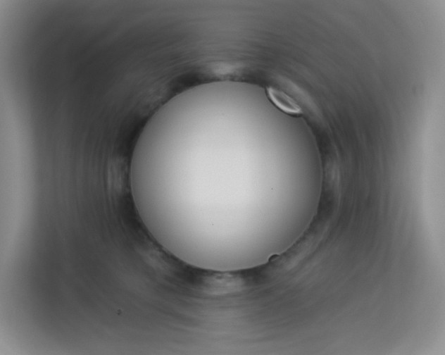 X0000113320421200909281211