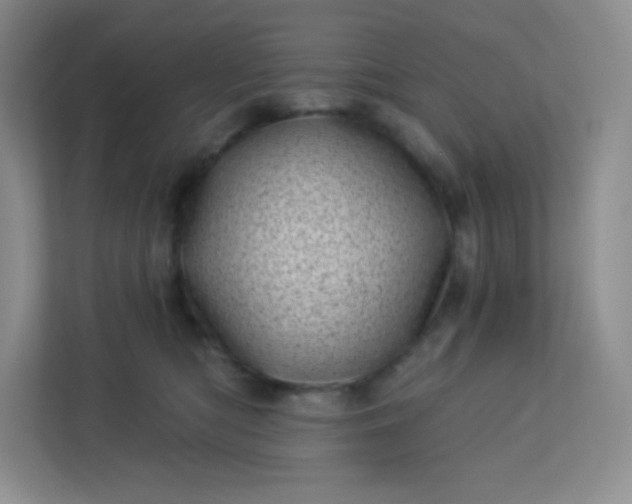 X0000113320422200909281211