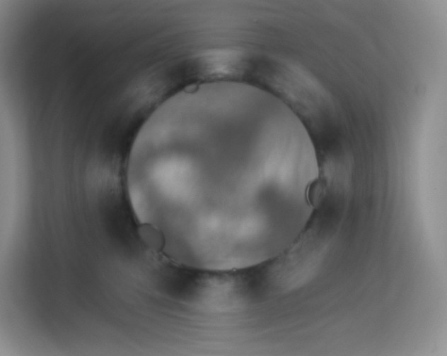 X0000113320423200909281211