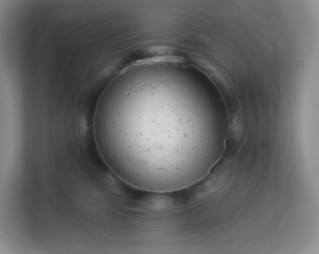 X0000113320424200909281211