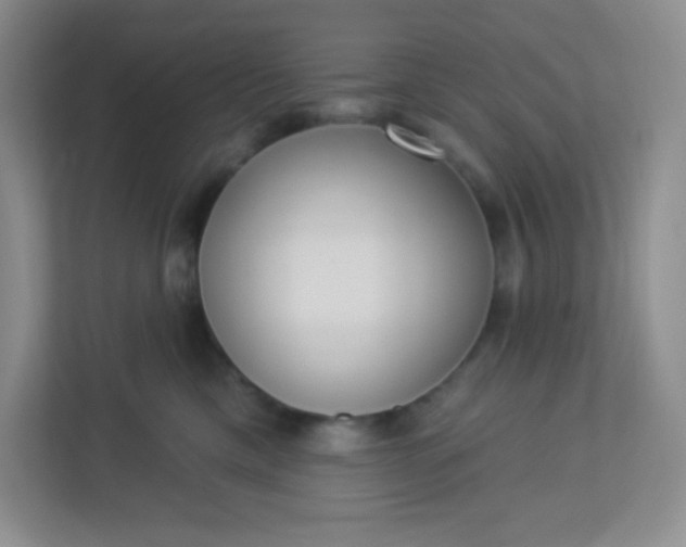 X0000113320425200909281211