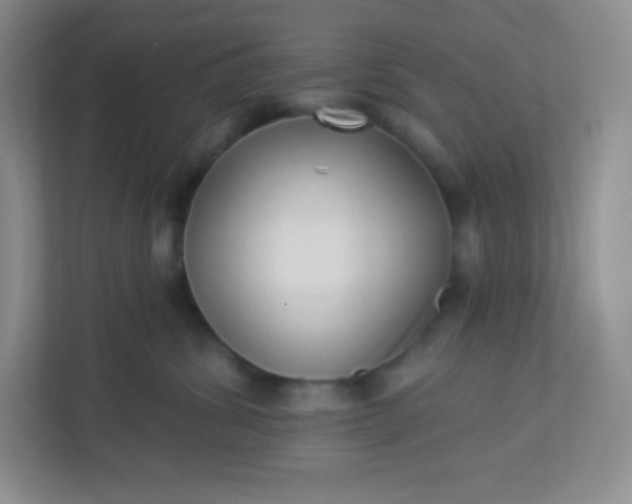 X0000113320428200909281211