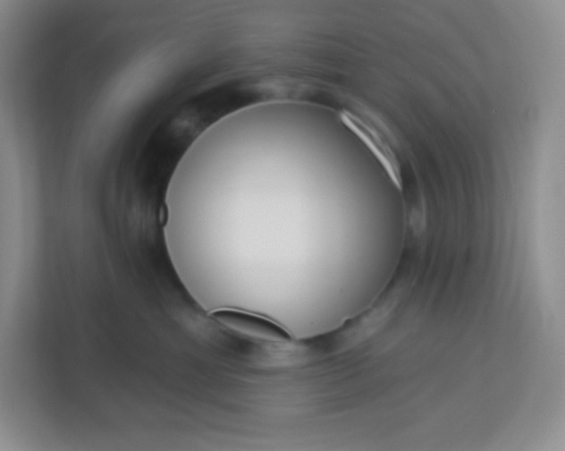 X0000113320429200909281211